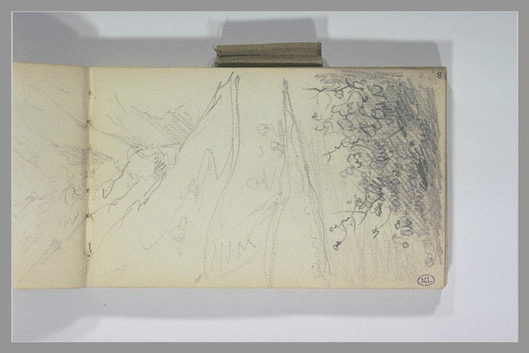 Paysage montagneux et broussailles