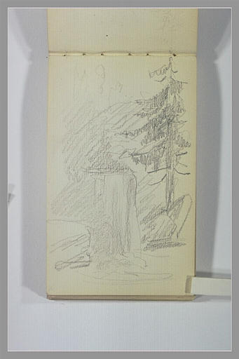 Paysage avec un sapin