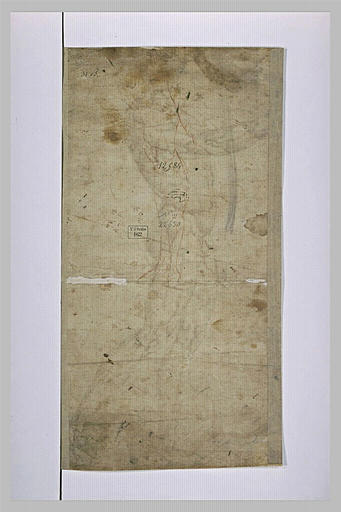 Etude de jambes