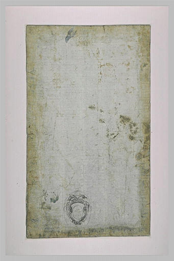 Armoiries des Medici-Toledo