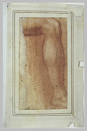Etude de jambe