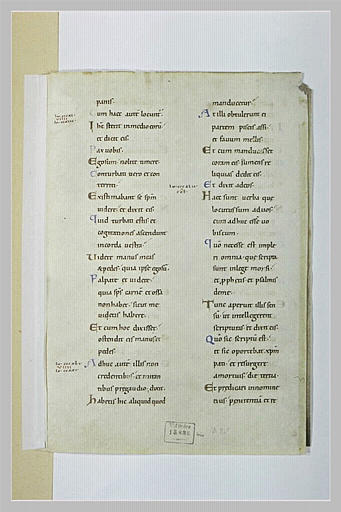 Texte manuscrit : Evangile selon saint Luc