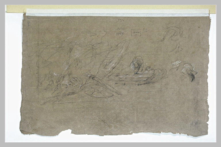 Croquis et tête de chien