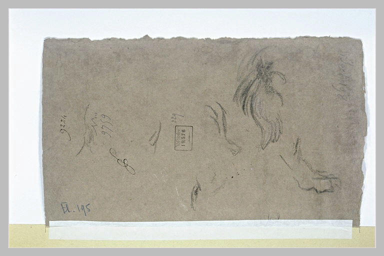 Etudes d'ailes