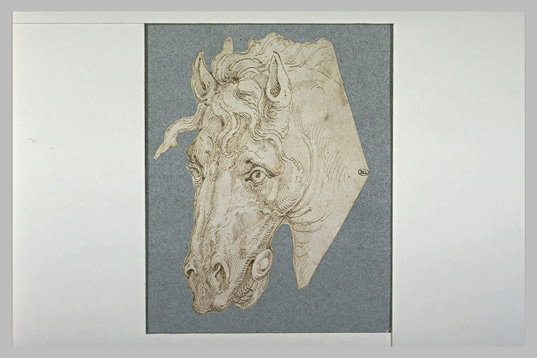 Tête de cheval