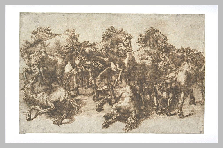 Combat de chevaux