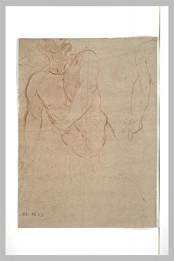 Demi-figure d'homme nu, et bras droit d'homme nu