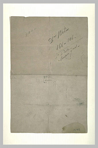 Fleur et insecte (?)