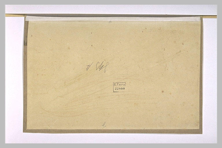 Traits à la sanguine