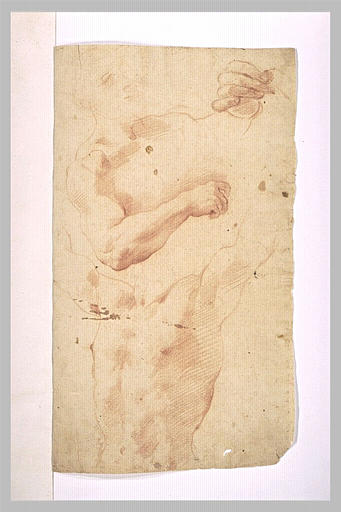 Etude de deux bustes d'hommes