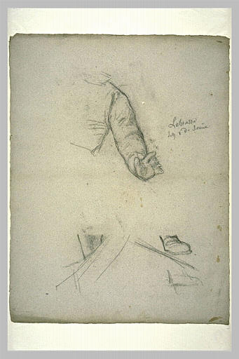 Etude d'un bras et d'un pied