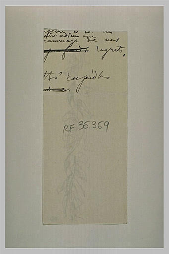 Extrait d'une lettre manuscrite