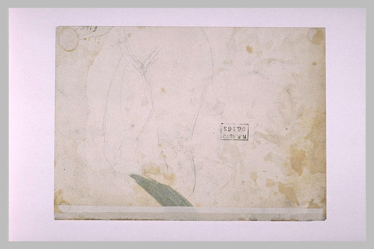 Hanches d'une femme nue