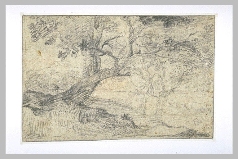 Arbres