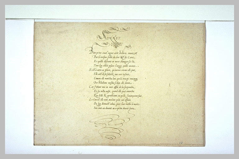 Sonnet