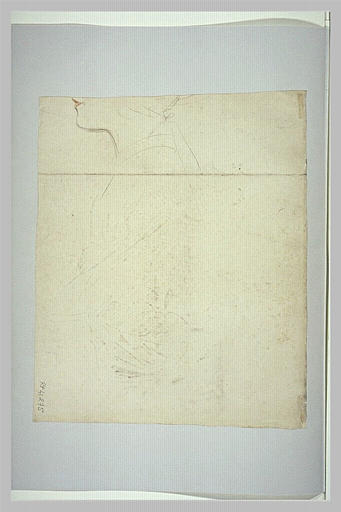 Bas du visage d'une jeune femme, de profil