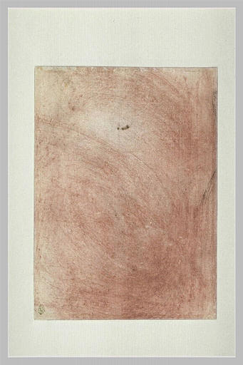 Traits de plume suggérant la crinière d'un cheval