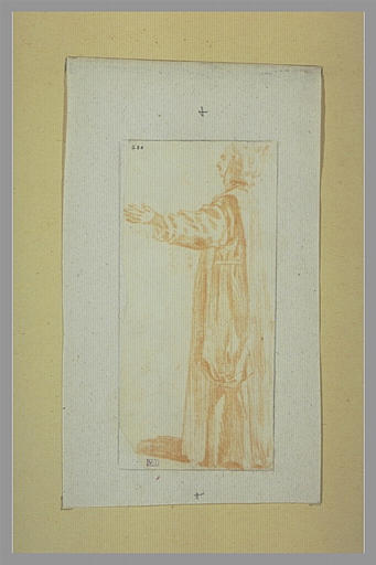 Chartreux debout, de profil vers la gauche