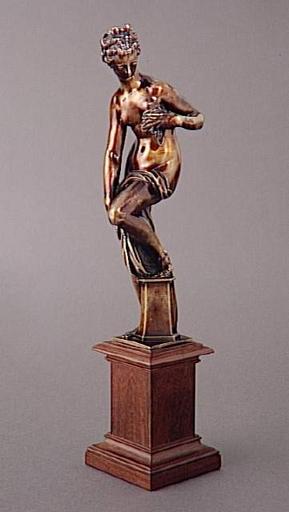 Vénus après le bain