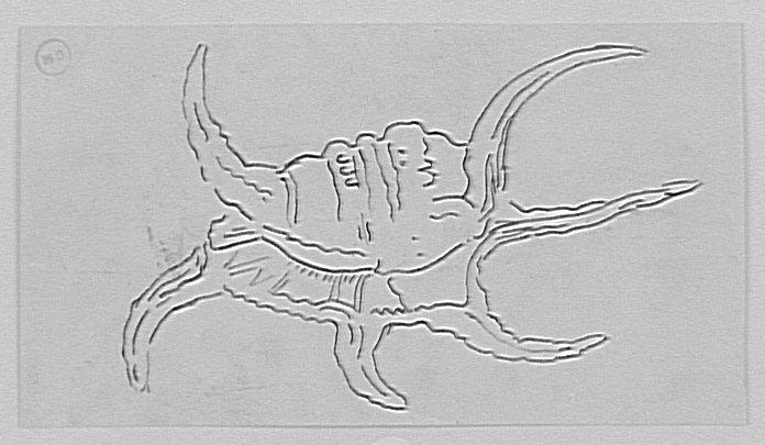 Étude de coquillage, d'après le Magasin Pittoresque