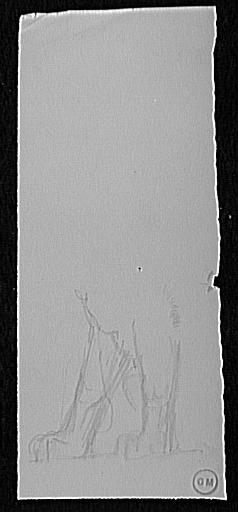 Etude de deux pattes d'animal