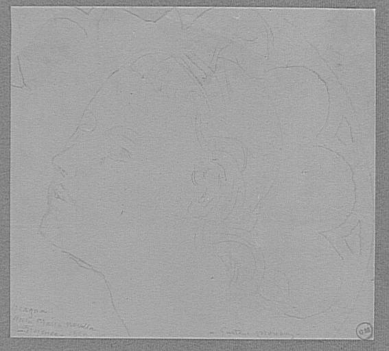 Copie d'après Orcagna : tête de sainte (polyptyque de la chapelle Strozzi, détail, Santa Maria Novella, Florence)