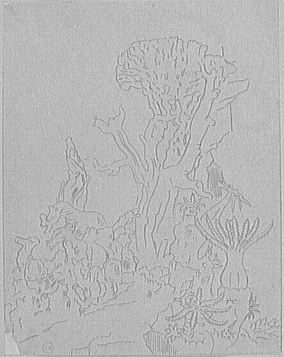 Étude de massif coralien pour Galatée