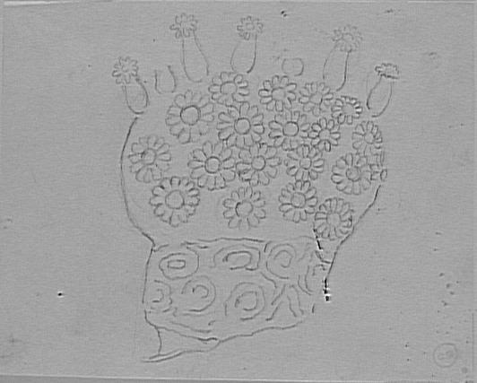 Étude de corail pour Galatée