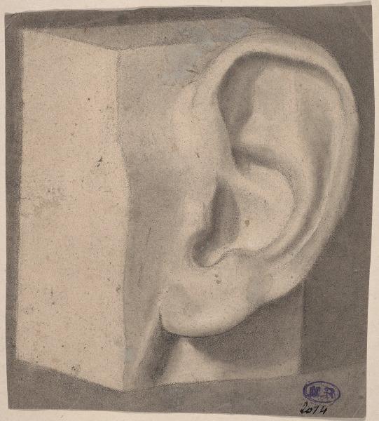 Oreille, étude d'après un plâtre