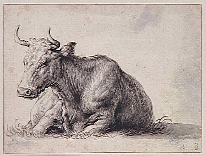 Vache couchée