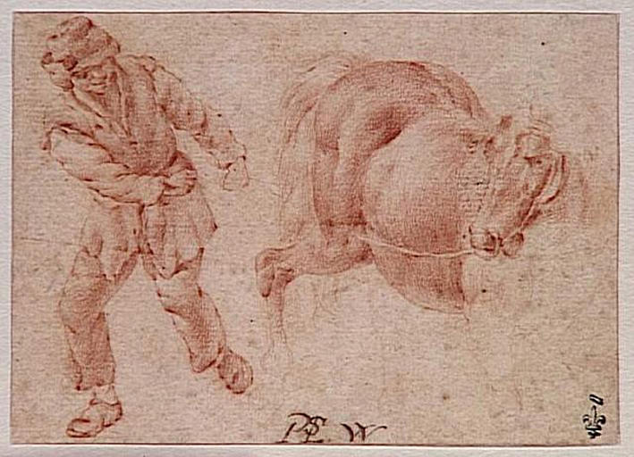 Homme avec un cheval