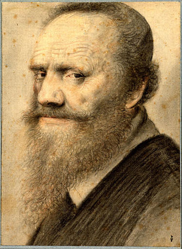 Homme barbu de profil à longue barbe pointue