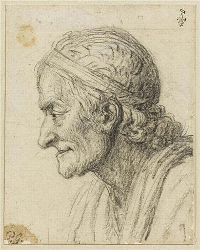 Voltaire de profil