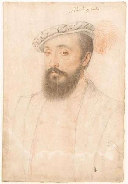 Bertrand Raimbaud V de Simiane, baron de Gordes