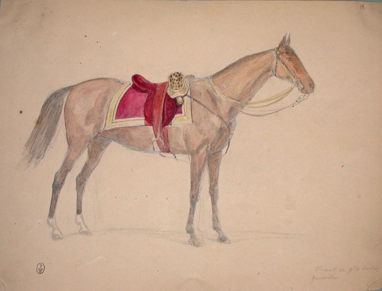 Cheval du général de division Gueswiller ; Siège de Rome de 1849 (en 3 tomes)