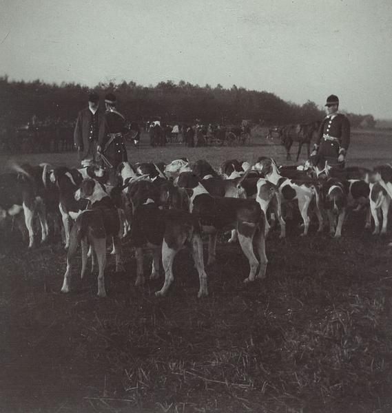 Robert d'Orléans duc de Chartres (1840-1910) écoutant son premier piqueux Etienne Péhaut lui faire son rapport lors d'une chasse à courre en Chantilly, la meute au premier plan