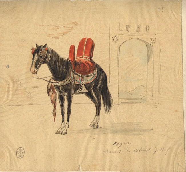 Afrique 1835-1845 (67) : Negro, cheval du colonel Yussuf