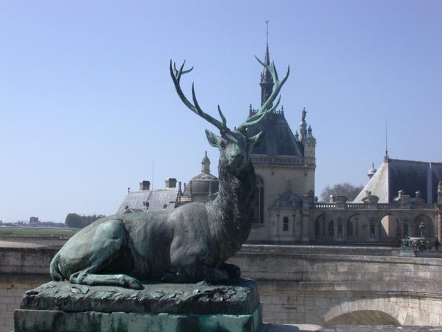 Cerf assis tête tournée à droite