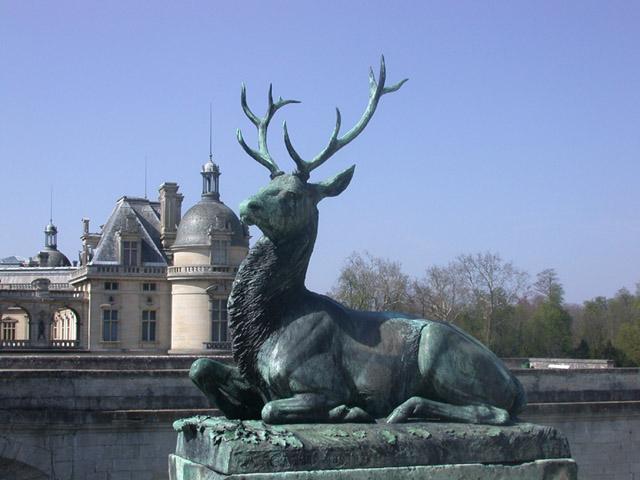 Cerf assis tête tournée à droite