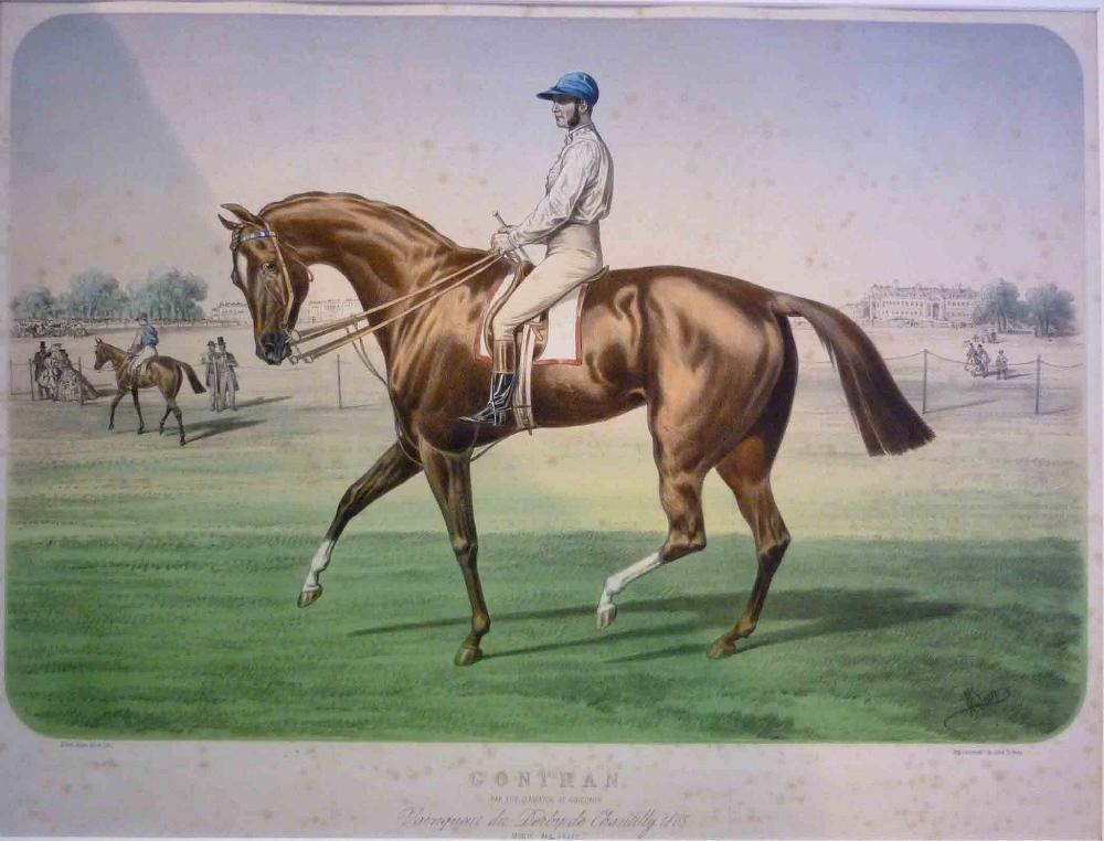 GONTRAN / PAR FITZ-GLADIATOR ET GOLCONDE / Vainqueur du Derby de Chantilly 1865. / MONTE PAR PRATT