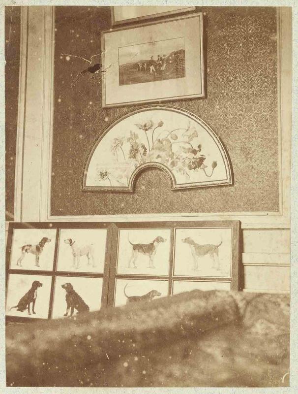 Album de photographies de Chantilly et Saint-Firmin : Vue d'intérieur : aquarelles représentant chiens de chasse et fleurs, modèle d'éventail