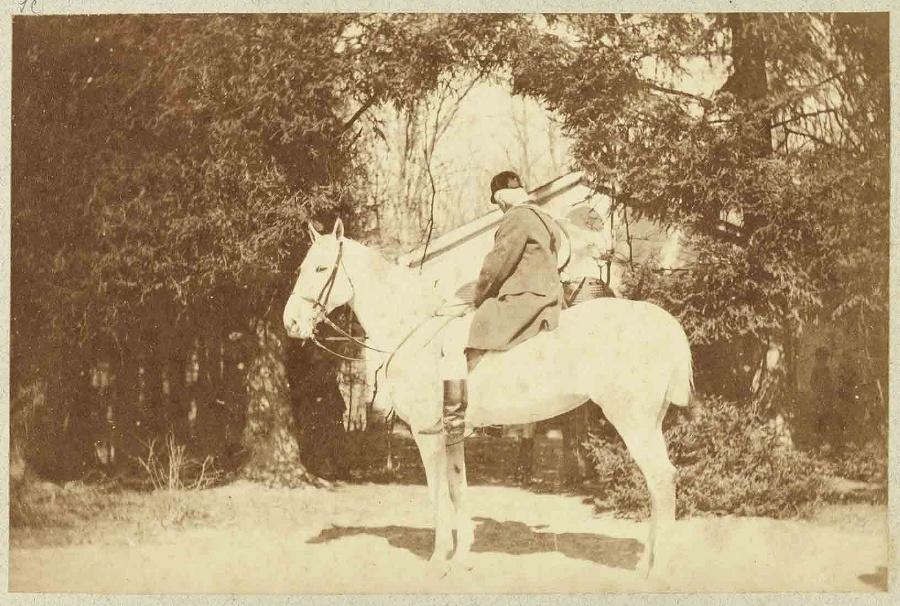 Album de photographies de Chantilly et Saint-Firmin : Chasse à courre, personnage en forêt sur un cheval blanc