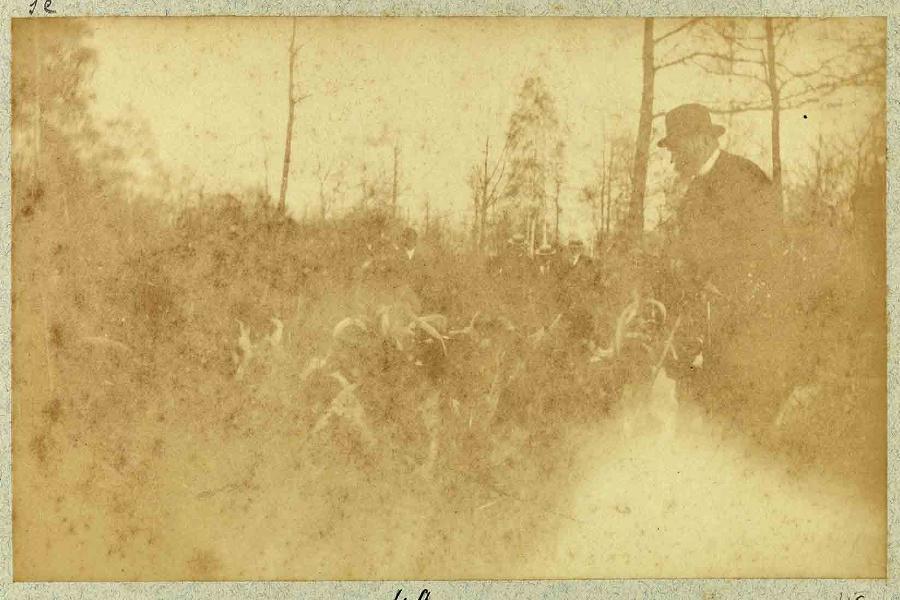 Album de photographies de Chantilly et Saint-Firmin : Chasse à courre, personnage en forêt avec la meute