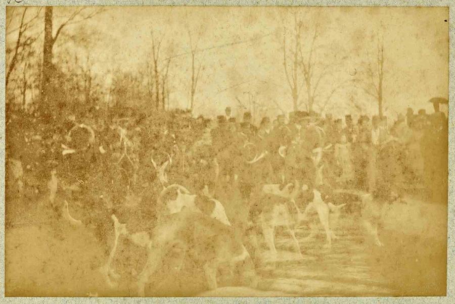 Album de photographies de Chantilly et Saint-Firmin : Chasse à courre, la curée
