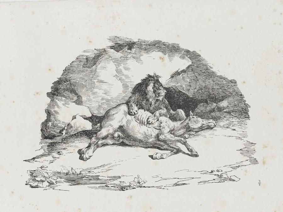 Série de sept cartons lithographiques réalisées en Angleterre : Lion dévorant un cheval