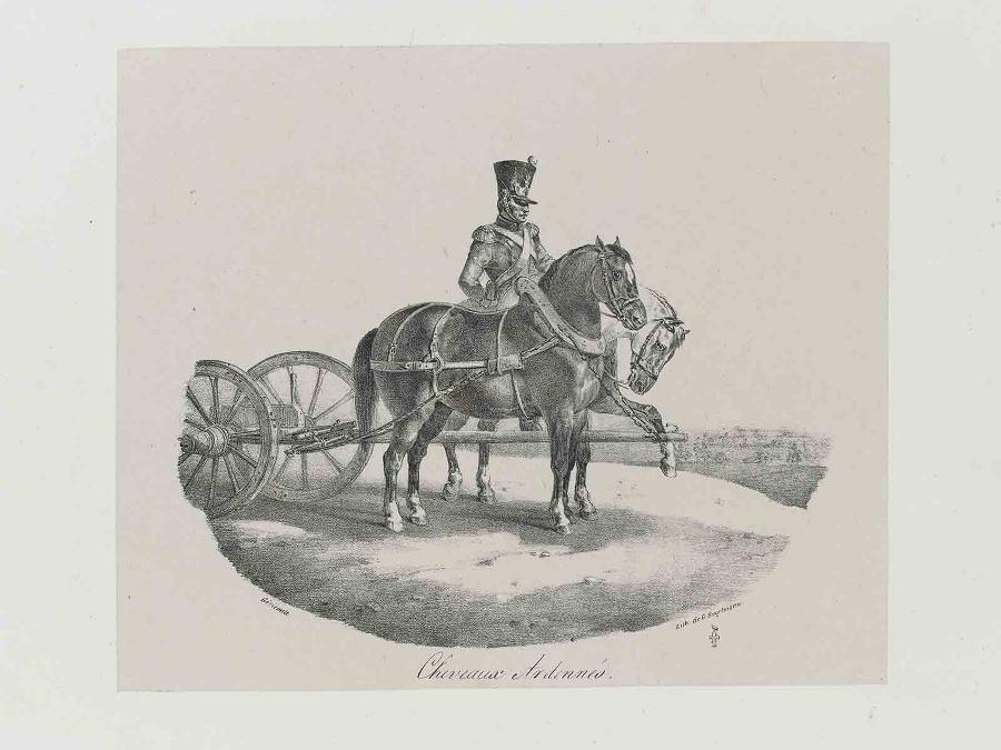 Etudes de Chevaux d'après nature (planche 03) : Chevaux Ardennés. [sic]