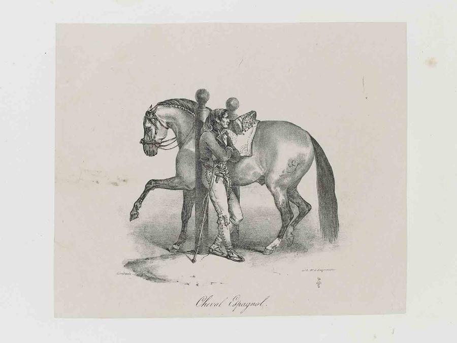 Etudes de Chevaux d'après nature (planche 07) : Cheval Espagnol