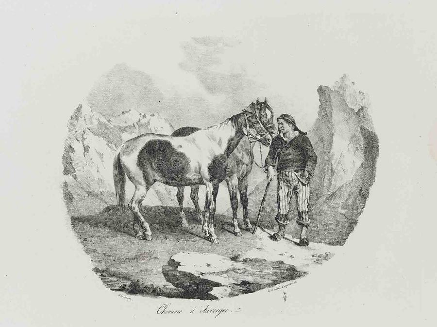 Etudes de Chevaux d'après nature (planche 12) : Chevaux d'Auvergne