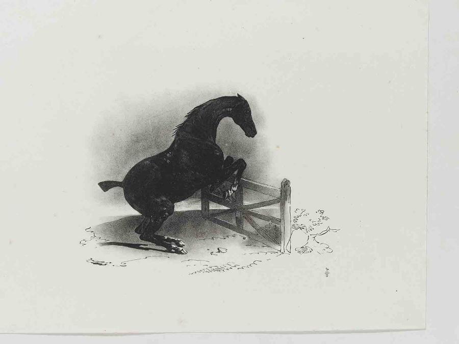 Suite de sept planches : Cheval franchissant une barrière