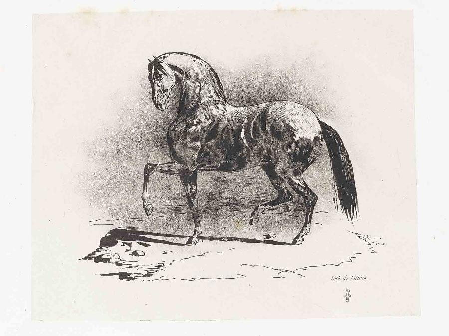 Suite de sept planches : Cheval au trot